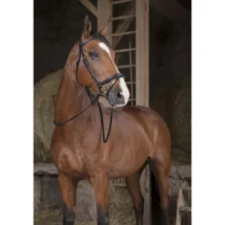 NORTON RENES HUNTER PRO 16MM CHEVAL HAVANE> Briderie·Rênes