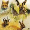 AMBIENTE SERVIETTE ANIMAUX SAUVAGES> Art De La Table Et Vaisselle·Serviettes Papier Et Toiles Cirées