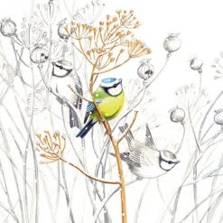 AMBIENTE SERVIETTE PETITS OISEAUX> Art De La Table Et Vaisselle·Serviettes Papier Et Toiles Cirées