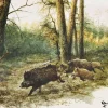 AMBIENTE SERVIETTE SANGLIER EN FORET> Art De La Table Et Vaisselle·Serviettes Papier Et Toiles Cirées