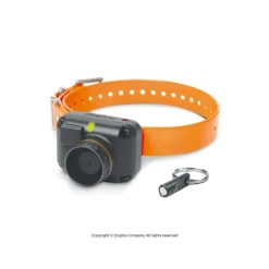 DOGTRA SONAILLON BEEPER STB BEEP - H (BEEP AIGU)> Colliers De Repérage Et Localisation·Colliers De Repérage Chien D'Arrêt|Colliers De Repérage Et Localisation·Colliers De Repérage Chien D'Arrêt
