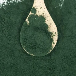 REVERDY SPIRULINE 1KG><noscript><img width=