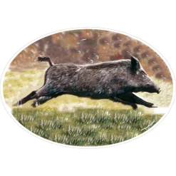 HV DVPT STICKER GRAND MODELE SANGLIER> Protection De La Voiture·Rangements Et Accessoires Pour Voiture