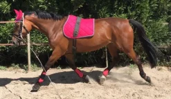 LAMICELL TAPIS DE SELLE FIGARA CHEVAL><noscript><img width=