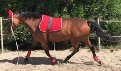 LAMICELL TAPIS DE SELLE FIGARA PONEY><noscript><img width=