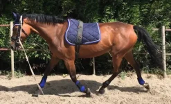 LAMICELL TAPIS DE SELLE FIGARA PONEY><noscript><img width=