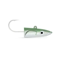 FIIISH TETE PLOMBEE CSE220 DEEP 90GR> Leurres Souples Mer·Leurres Souples Mer Fiiish