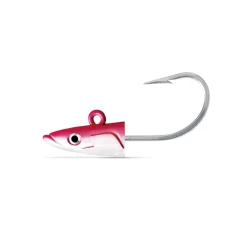 FIIISH TETE PLOMBEE CSE220 X-STRONG 70GR> Leurres Souples Mer·Leurres Souples Mer Fiiish