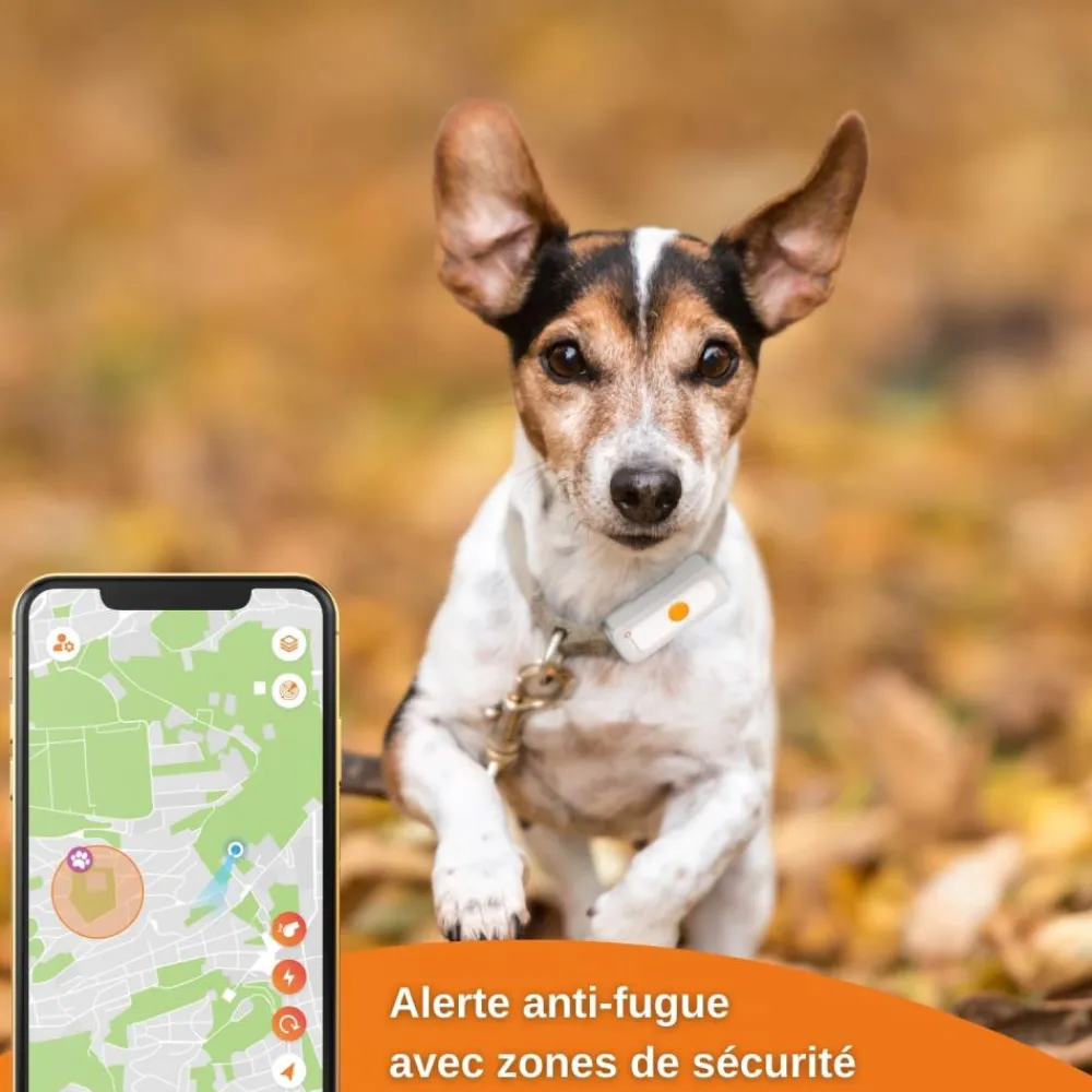 WEENECT TRACEUR GPS XS NOIR> Colliers De Repérage Et Localisation·Colliers De Repérage - Gps|Colliers De Repérage Et Localisation·Colliers De Repérage - Gps