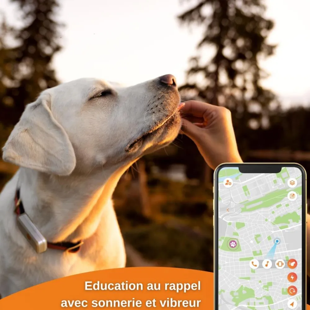 WEENECT TRACEUR GPS XS NOIR> Colliers De Repérage Et Localisation·Colliers De Repérage - Gps|Colliers De Repérage Et Localisation·Colliers De Repérage - Gps
