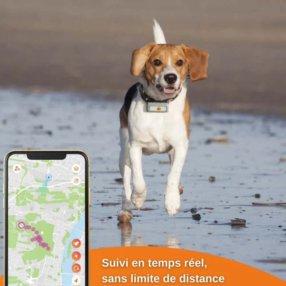 WEENECT TRACEUR GPS XS NOIR> Colliers De Repérage Et Localisation·Colliers De Repérage - Gps|Colliers De Repérage Et Localisation·Colliers De Repérage - Gps