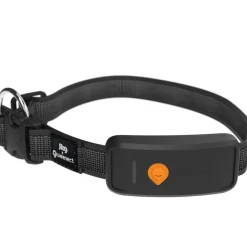 WEENECT TRACEUR GPS XT AVEC COLLIER><noscript><img width=