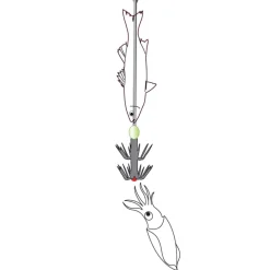 FLASHMER TURLUTTE AIGUILLE INOX 15CM> Leurres Durs Mer·Turluttes Et Accessoires